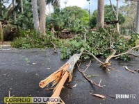 Prainha de Santa Helena: Transformador caído, rede elétrica no chão e muitas árvores são quebradas e arrancadas após temporal