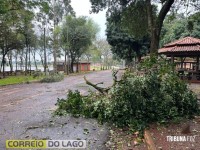 Prainha de Santa Helena: Transformador caído, rede elétrica no chão e muitas árvores são quebradas e arrancadas após temporal