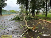 Prainha de Santa Helena: Transformador caído, rede elétrica no chão e muitas árvores são quebradas e arrancadas após temporal