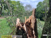 Prainha de Santa Helena: Transformador caído, rede elétrica no chão e muitas árvores são quebradas e arrancadas após temporal