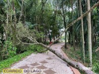 Prainha de Santa Helena: Transformador caído, rede elétrica no chão e muitas árvores são quebradas e arrancadas após temporal