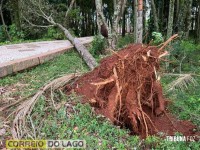 Prainha de Santa Helena: Transformador caído, rede elétrica no chão e muitas árvores são quebradas e arrancadas após temporal