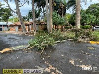 Prainha de Santa Helena: Transformador caído, rede elétrica no chão e muitas árvores são quebradas e arrancadas após temporal