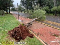 Prainha de Santa Helena: Transformador caído, rede elétrica no chão e muitas árvores são quebradas e arrancadas após temporal