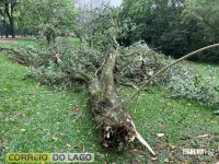 Prainha de Santa Helena: Transformador caído, rede elétrica no chão e muitas árvores são quebradas e arrancadas após temporal