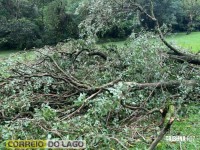 Prainha de Santa Helena: Transformador caído, rede elétrica no chão e muitas árvores são quebradas e arrancadas após temporal