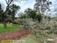 Prainha de Santa Helena: Transformador caído, rede elétrica no chão e muitas árvores são quebradas e arrancadas após temporal