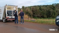 Homem é encontrado morto desovado na área rural de Foz vítima de esfaqueamento