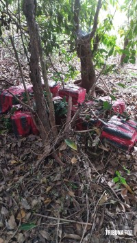 PF e PM apreendem fardos de maconha às margens do Lago de Itaipu em Itaipulândia