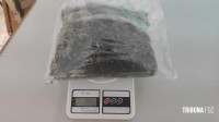 Policia Militar apreende maconha em Santa Terezinha de Itaipu