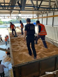 Polícia Federal apreende 5.426 Kg de maconha em carretas provenientes do Paraguai