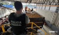 Polícia Federal apreende 5.426 Kg de maconha em carretas provenientes do Paraguai