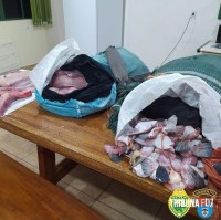 PM Ambiental realiza apreensão de peixes no Parque Nacional do Iguaçu 