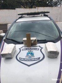 Guarda Municipal apreende 8,6 Kg de maconha no Bairro Três Lagoas