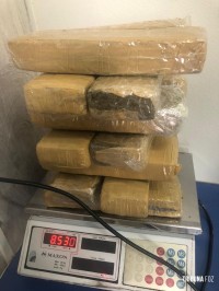 Guarda Municipal apreende 8,6 Kg de maconha no Bairro Três Lagoas