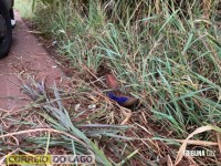 Motociclista abandona garupa ferido após queda no interior de Santa Helena