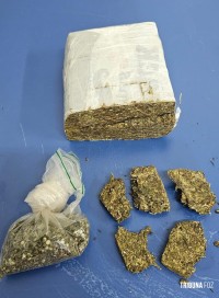 Polícia Militar cumpre mandado de prisão no Bairro Três Lagoas e apreende 595 gramas de maconha