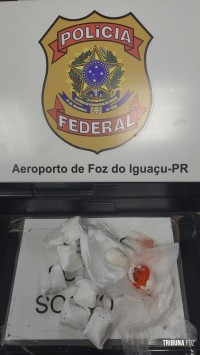 Policia Federal apreende ovos de espécie não identificada no Aeroporto de Foz do Iguaçu