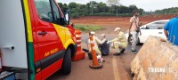 Motociclista é socorrido pelo Siate após queda na Av. das Cataratas