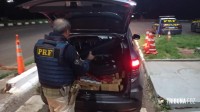 PRF prende condutor com 525 Kg de maconha após perseguição policial na BR-277