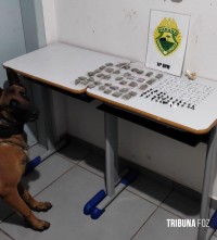 CHOQUE/CANIL apreende drogas na Favela do Monsenhor em Foz do Iguaçu