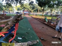 Idoso de 75 anos fica ferido ao ser atingido por galho enquanto fazia exercícios na Praça Central de Santa Helena