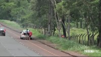 DENARC apreende 21 Kg de maconha na Av. Beira Rio, região da Ponte da Amizade