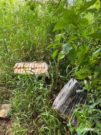 NEPOM e BPFRON apreendem 101 Kg de maconha na barranca do Rio Paraná