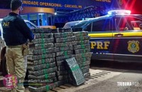 PRF no Paraná bate recorde histórico em apreensão de maconha