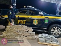 PRF no Paraná bate recorde histórico em apreensão de maconha