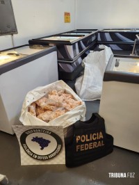 Policia Federal e MAPA apreendem 1,8 tonelada de carne contrabandeada da argentina