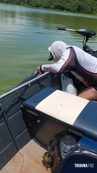 Pescador morre após ataque de abelhas no Lago de Itaipu