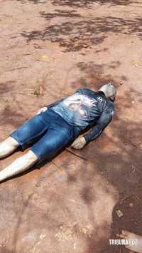 Pescador morre após ataque de abelhas no Lago de Itaipu