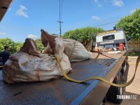 Operação Conectividade apreende 493 Kg de fios de cobre de origem duvidosa