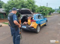 Em operação conjunta Guarda Municipal e Polícia Civil cumprem mandado de prisão em São Miguel do Iguaçu