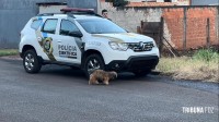 Assassinos encapuzados invadem residência e matam morador no Bairro Três Lagoas durante a madrugada