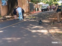 Homem é morto com tiros de fuzil em plena luz do dia no Bairro Morumbi