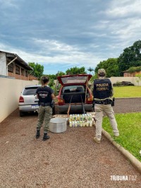 Policia Federal e ICMBio prendem "palmiteiro" no Parque Nacional do Iguaçu