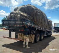 PRF flagra caminhão com arqueamento da altura de um homem em Santa Terezinha de Itaipu