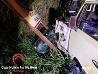 Acidente na BR-277 deixa um morto em São Miguel do Iguaçu