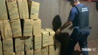 Guarda Municipal apreende 1.190 Kg de maconha após perseguição as margens do Lago de Itaipu