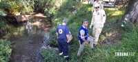 Bombeiros resgatam idoso que caiu no rio "bostinha"