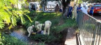 Bombeiros resgatam idoso que caiu no rio "bostinha"