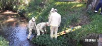 Bombeiros resgatam idoso que caiu no rio "bostinha"