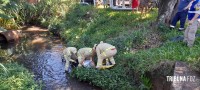 Bombeiros resgatam idoso que caiu no rio "bostinha"