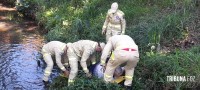 Bombeiros resgatam idoso que caiu no rio "bostinha"