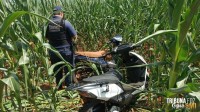 Guarda Municipal recupera duas motocicletas em meio a plantação de milho em São Miguel do Iguaçu