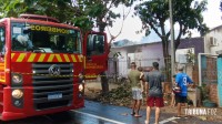 Casa é consumida pelo fogo no Porto Meira