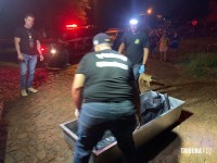 Homicídio registrado no Jardim Social em São Miguel do Iguaçu