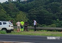 Jovem é morto com tiro na cabeça e desovado as margens da BR-277